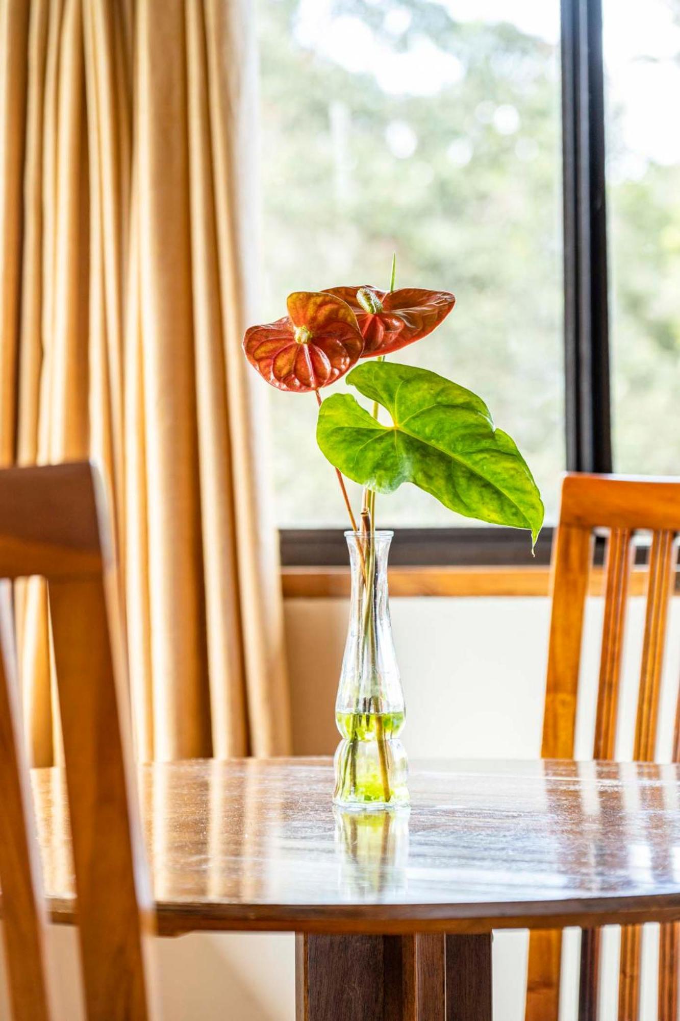 Volcano Inn Bed N Breakfast Ngoại thất bức ảnh