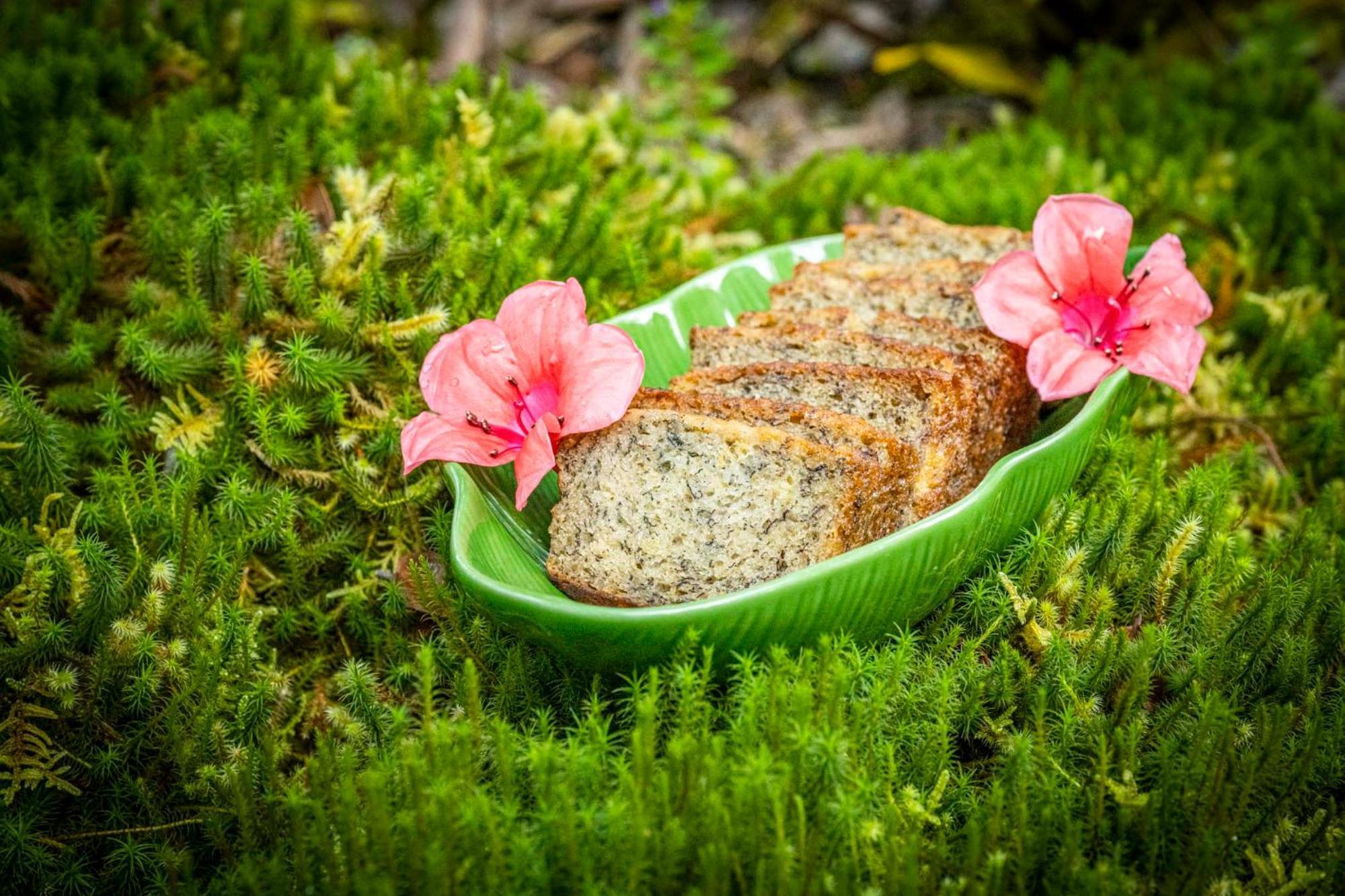 Volcano Inn Bed N Breakfast Ngoại thất bức ảnh