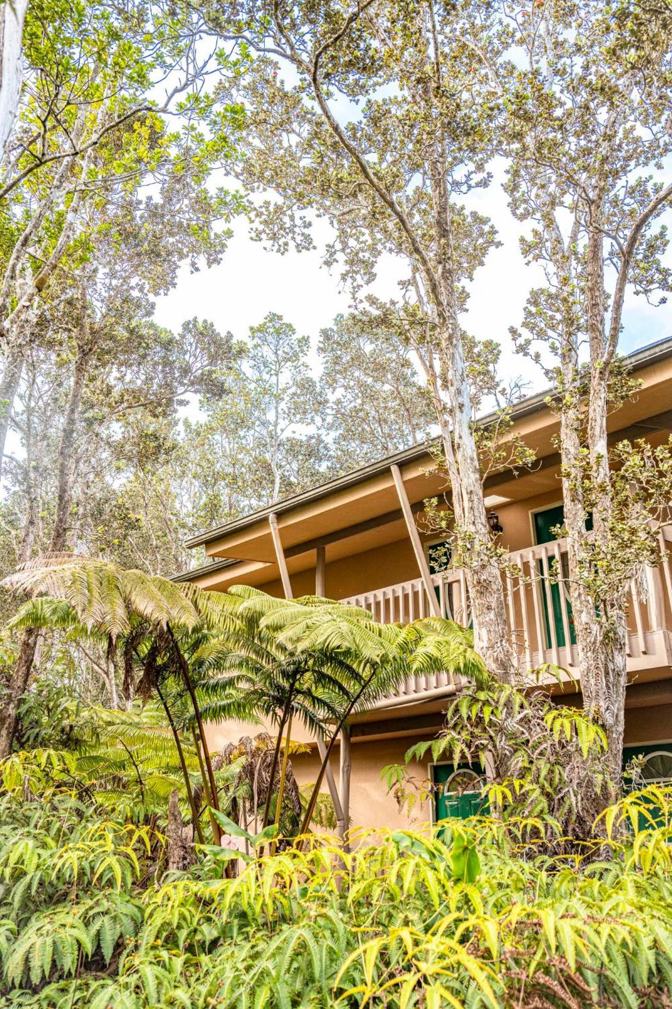 Volcano Inn Bed N Breakfast Ngoại thất bức ảnh